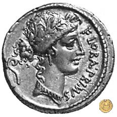 423/1 - denario C. Servilius C.f. 57 BC (Roma)