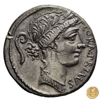 423/1 - denario C. Servilius C.f. 57 BC (Roma)