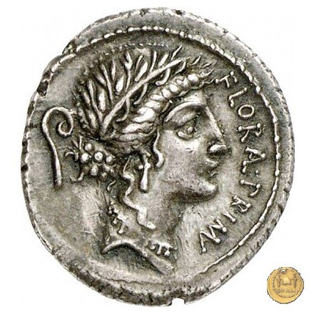 423/1 - denario C. Servilius C.f. 57 BC (Roma)