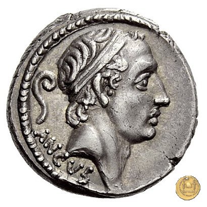 425/1 - denario L. Marcius Philippus 56 BC (Roma)