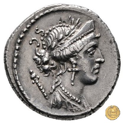 426/3 - denario Faustus Cornelius Sulla 56 BC (Roma)