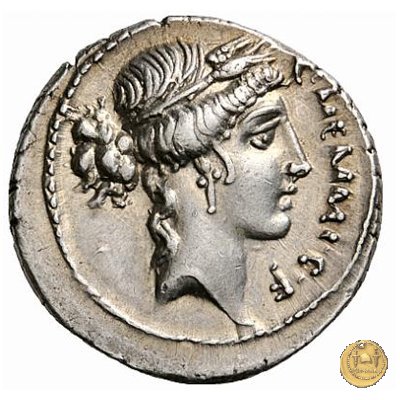 427/1 - denario C. Memmius C.f. 56 BC (Roma)