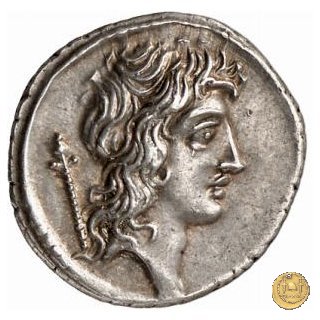 428/3 - denario Q. Cassius Longinus 55 BC (Roma)