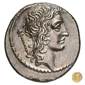 428/3 - denario Q. Cassius Longinus 55 BC (Roma)