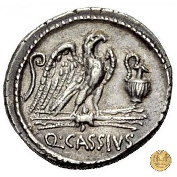 428/3 - denario Q. Cassius Longinus 55 a.C. (Roma)