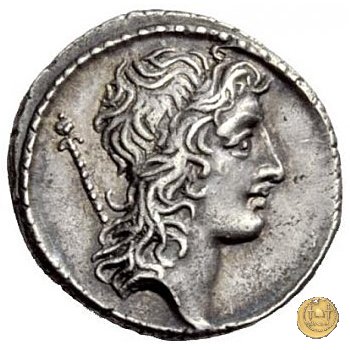 428/3 - denario Q. Cassius Longinus 55 BC (Roma)