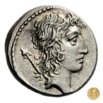 428/3 - denario Q. Cassius Longinus 55 BC (Roma)