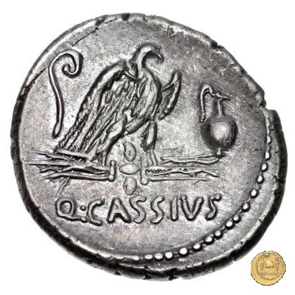 428/3 - denario Q. Cassius Longinus 55 BC (Roma)