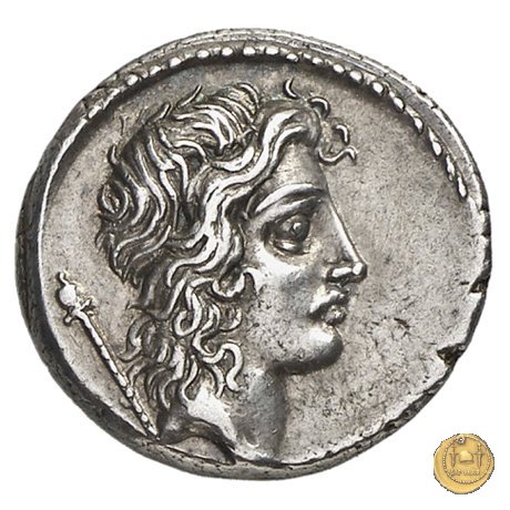 428/3 - denario Q. Cassius Longinus 55 BC (Roma)