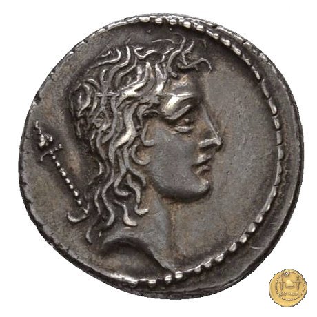 428/3 - denario Q. Cassius Longinus 55 BC (Roma)