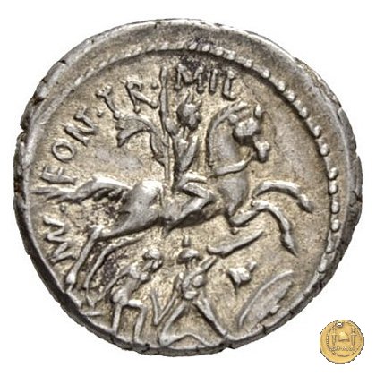429/1 - denario P. Fonteius P.f. Capito 55 BC (Roma)