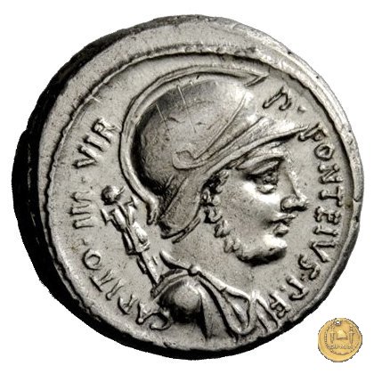 429/1 - denario P. Fonteius P.f. Capito 55 BC (Roma)