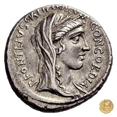 429/2 - denario T. Didius / P. Fonteius Capito 55 BC (Roma)
