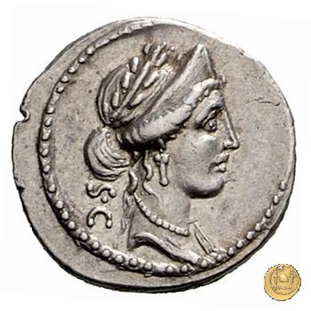 430/1 - denario P. Licinius Crassus 55 BC (Roma)