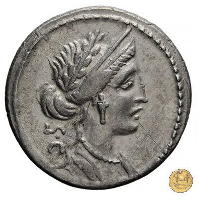 430/1 - denario P. Licinius Crassus 55 BC (Roma)