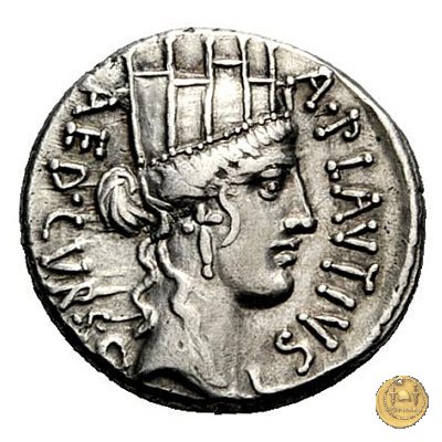 431/1 - denario A. Plautius 55 BC (Roma)