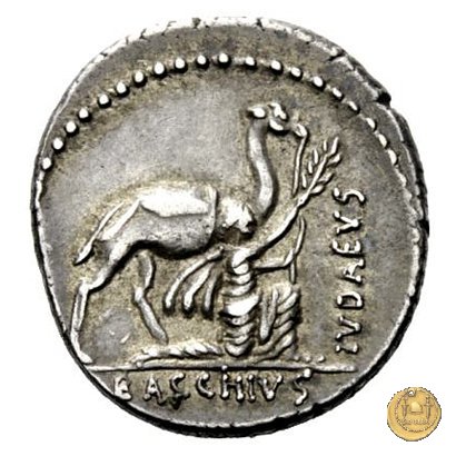 431/1 - denario A. Plautius 55 BC (Roma)