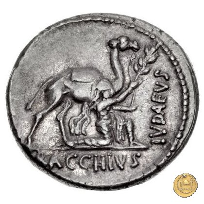 431/1 - denario A. Plautius 55 BC (Roma)