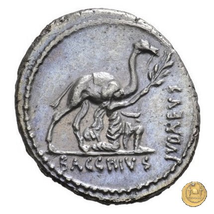 431/1 - denario A. Plautius 55 BC (Roma)