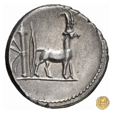 432/1 - denario Cn. Plancius 55 BC (Roma)