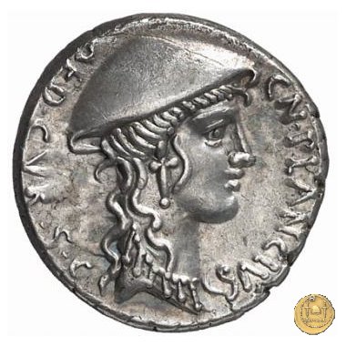 432/1 - denario Cn. Plancius 55 BC (Roma)