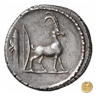 432/1 - denario Cn. Plancius 55 BC (Roma)