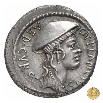 432/1 - denario Cn. Plancius 55 BC (Roma)