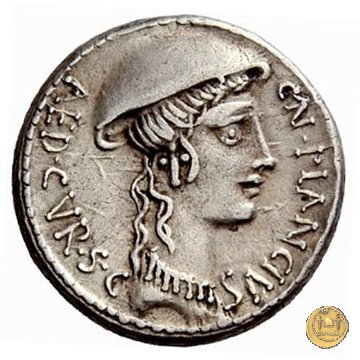 432/1 - denario Cn. Plancius 55 BC (Roma)