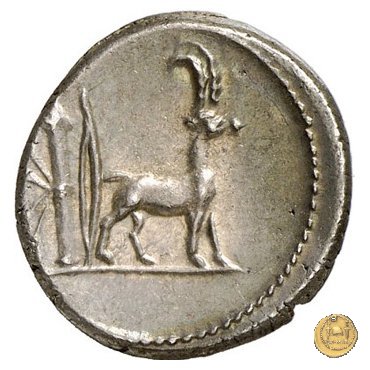 432/1 - denario Cn. Plancius 55 BC (Roma)