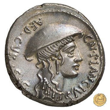 432/1 - denario Cn. Plancius 55 BC (Roma)