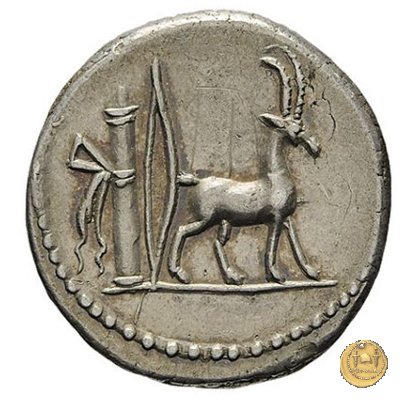 432/1 - denario Cn. Plancius 55 BC (Roma)