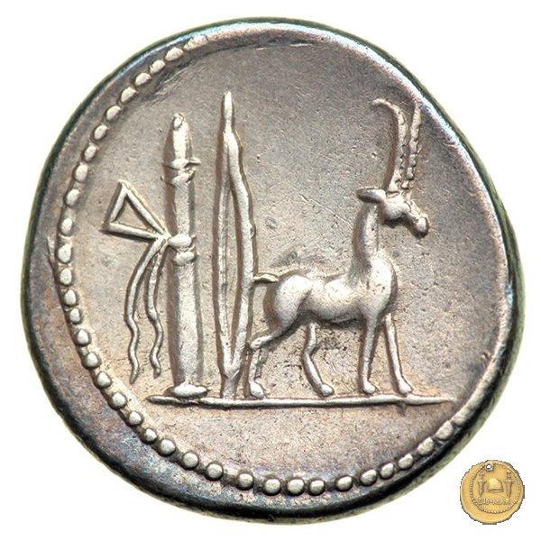 432/1 - denario Cn. Plancius 55 BC (Roma)