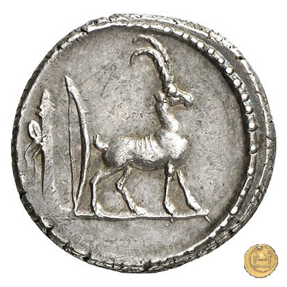 432/1 - denario Cn. Plancius 55 BC (Roma)