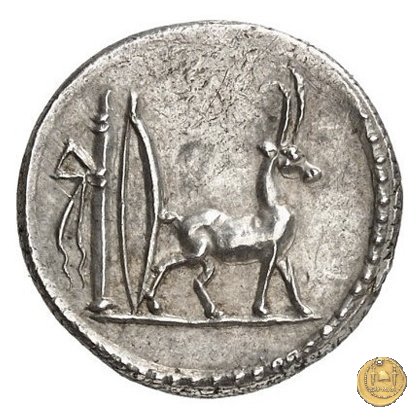 432/1 - denario Cn. Plancius 55 BC (Roma)