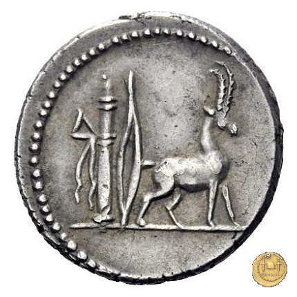 432/1 - denario Cn. Plancius 55 BC (Roma)