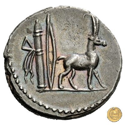 432/1 - denario Cn. Plancius 55 BC (Roma)