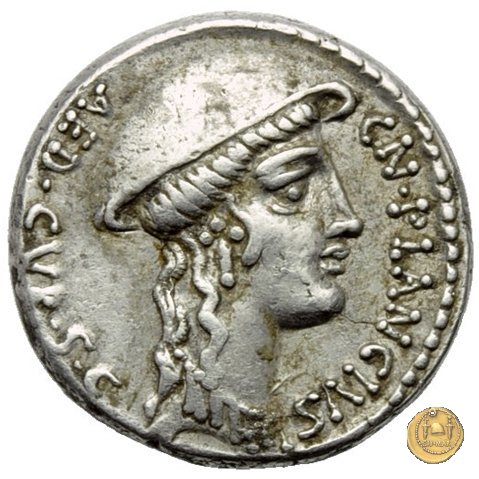 432/1 - denario Cn. Plancius 55 BC (Roma)