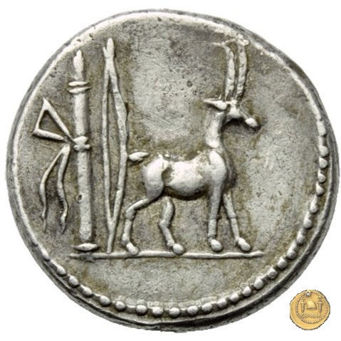 432/1 - denario Cn. Plancius 55 BC (Roma)