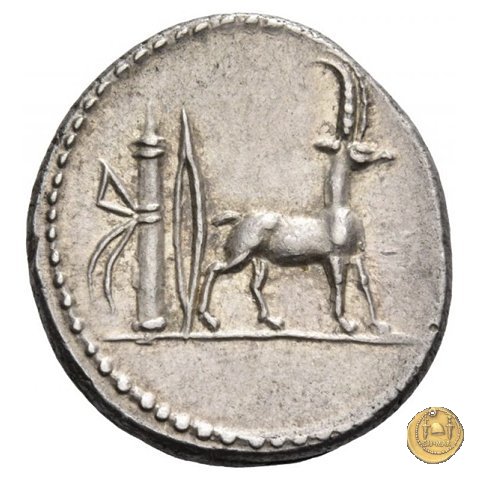 432/1 - denario Cn. Plancius 55 BC (Roma)