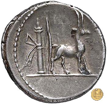 432/1 - denario Cn. Plancius 55 BC (Roma)