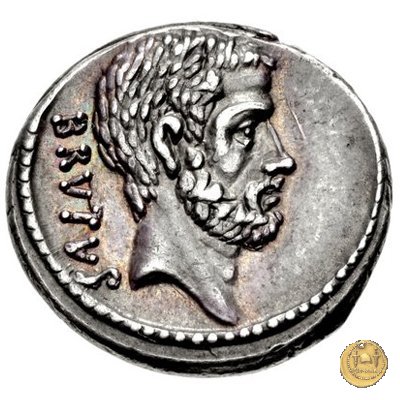 433/2 - denario M. Iunius Brutus 54 BC (Roma)