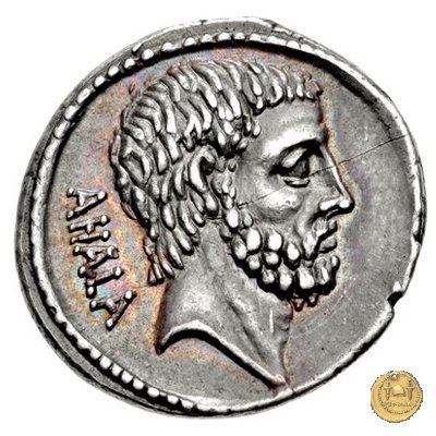 433/2 - denario M. Iunius Brutus 54 BC (Roma)