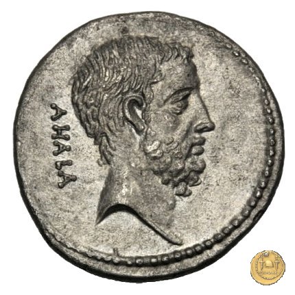 433/2 - denario M. Iunius Brutus 54 BC (Roma)