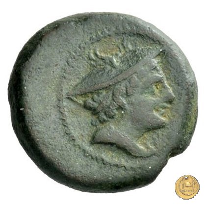 43/6 214-212 a.C. (Luceria)