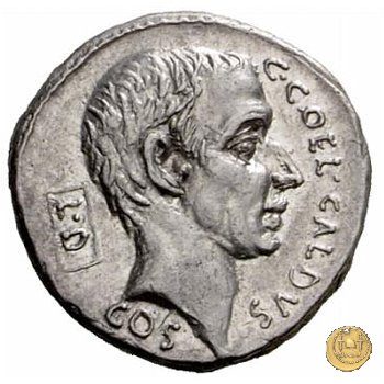 437/1 - denario C. Coelius Caldus 51 BC (Roma)