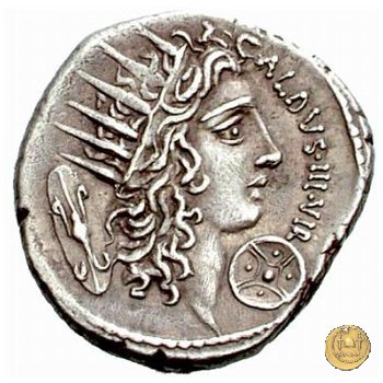 437/1 - denario C. Coelius Caldus 51 BC (Roma)