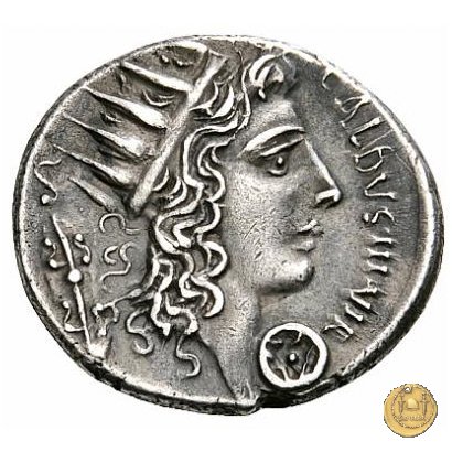 437/1 - denario C. Coelius Caldus 51 BC (Roma)