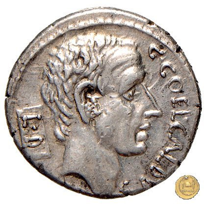 437/1 - denario C. Coelius Caldus 51 BC (Roma)