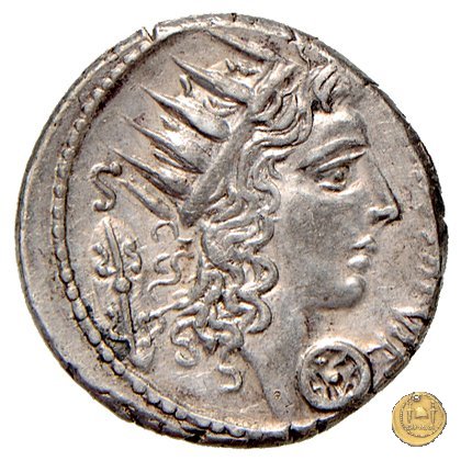 437/1 - denario C. Coelius Caldus 51 BC (Roma)