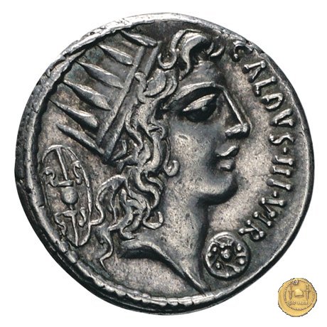 437/1 - denario C. Coelius Caldus 51 BC (Roma)